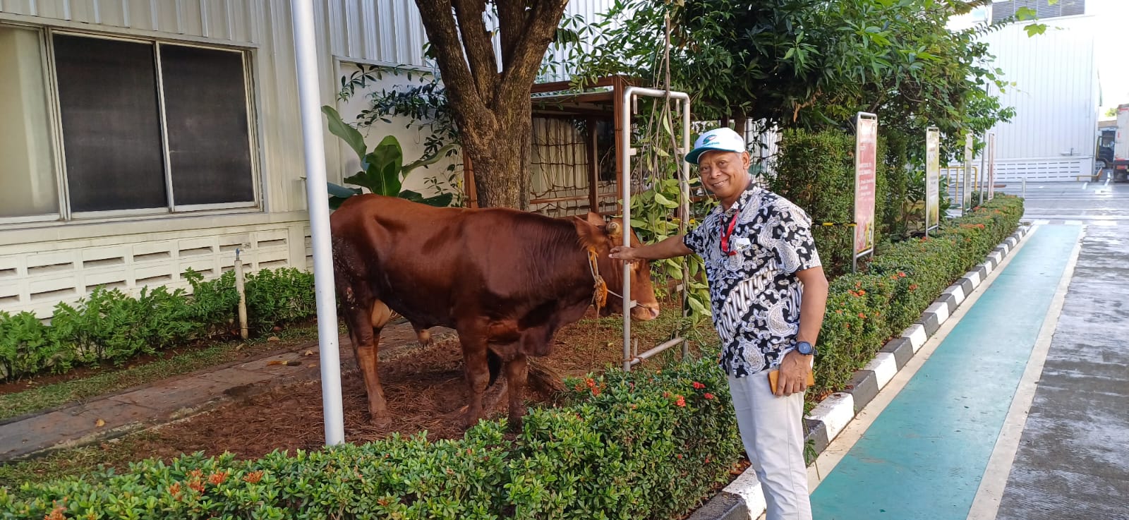 Donasi Hewan Kurban Tahun 2024